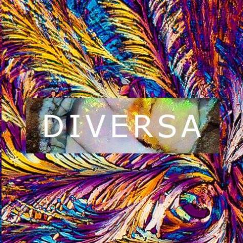 Obscure musician DIVERSA is as original as name