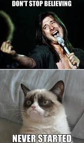 This particular "Grumpy Cat" meme displays the Internet community's knack for creating new and original content. Photo credited to Google Images.
