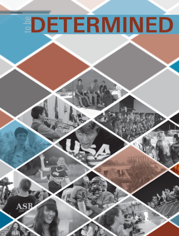 2014-2015 Yearbook Comments and Critiques Thread
