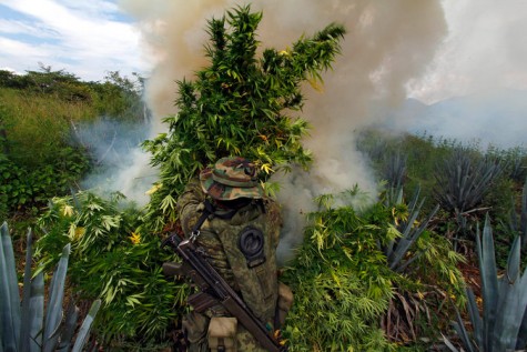 Mexico makes moves to legalize marijuana
