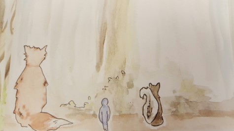 Looking Through the Pages