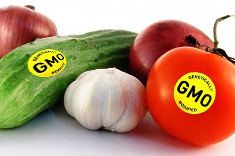 GMOS: Not as Harmful as Some May Think