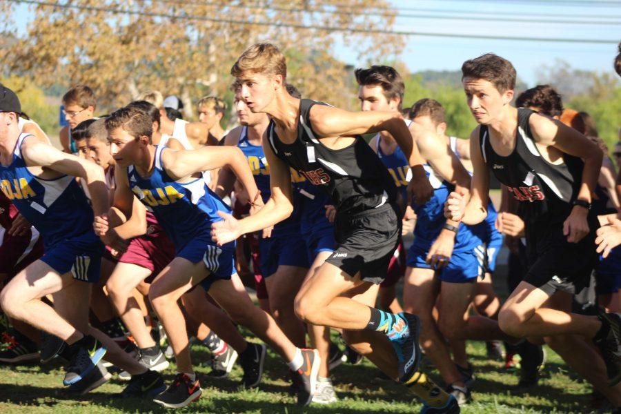 Cross Country: We Caiman First